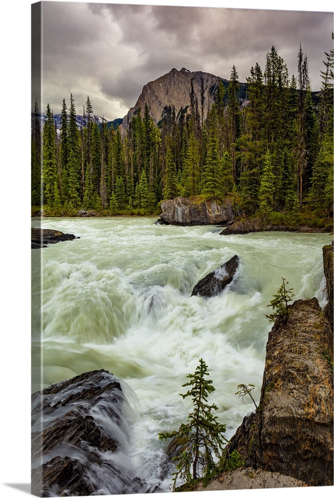 Rushing river and the Canadian Rockies in Yoho National Park; British Columbia, Canada