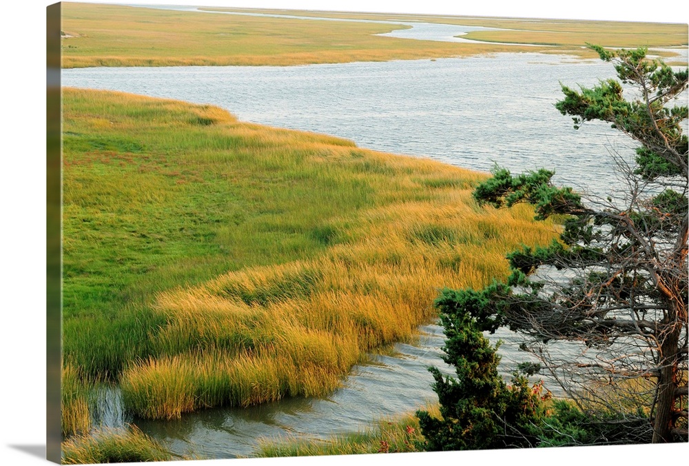 Scenic view of a salt marsh in the Cape Cod National Seashore.
