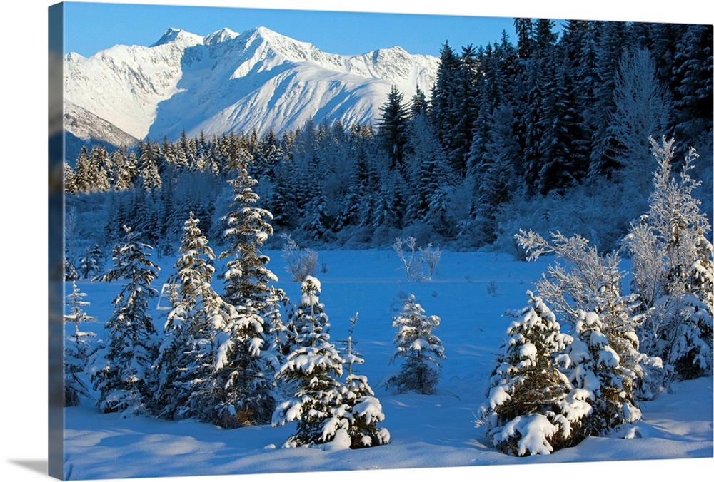 Scenic view of Chugach Mountains and snowcovered landscape, Southcentral Alaska, Winter