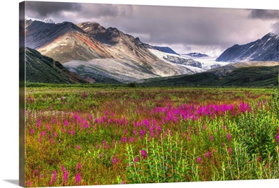 Scenic view of Gulkana Glacier from the Richardson Highway with fireweed in foreground