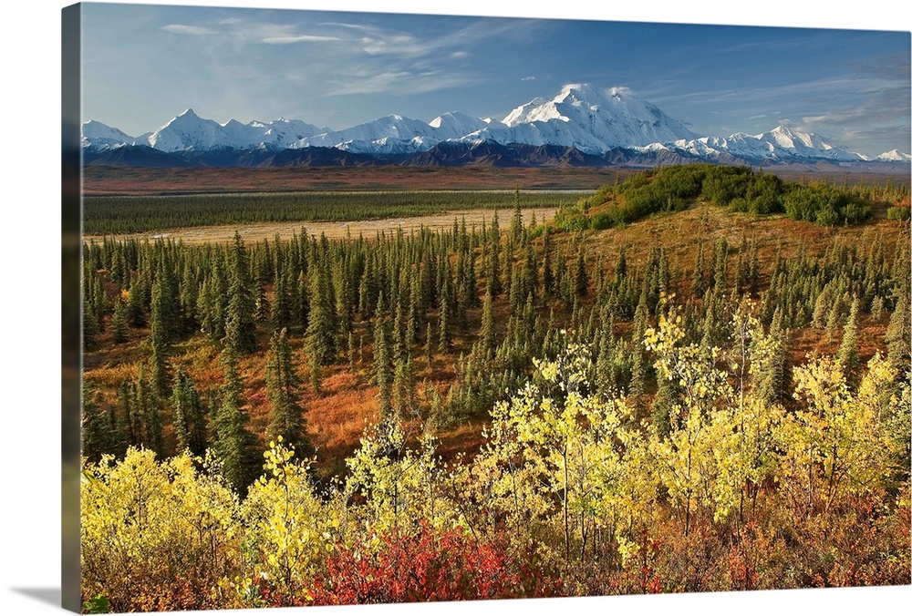 A scenic photograph with taiga and fall colors in the foreground and a view of the Alaska Range, Denali, McKinley River in...