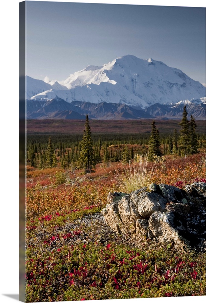 Scenic view of Mt. McKinley during Autumn, Denali National Park, Interior Alaska