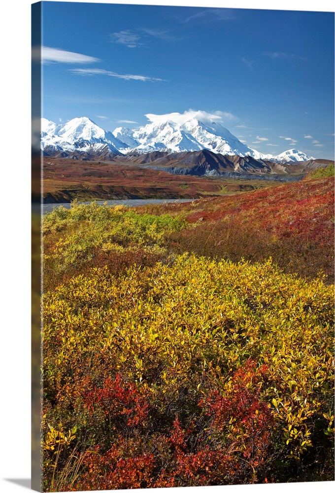 Scenic view of Mt.McKinley from Thorofare Pass with Autumn tundra, Denali National Park