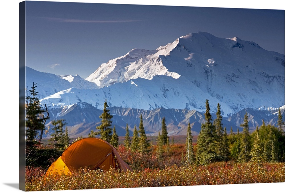 Oversized landscape photograph of snow covered Mt. McKinley behind a an open filed with some pine trees, a small tent sits...