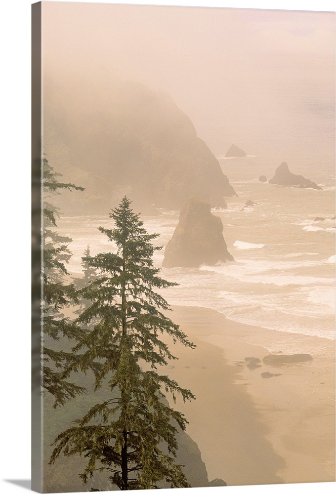 Seastacks In Fog, Samuel H. Boardman State Park, Oregon, Usa