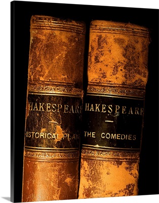 Shakespeare Leather Bound Books