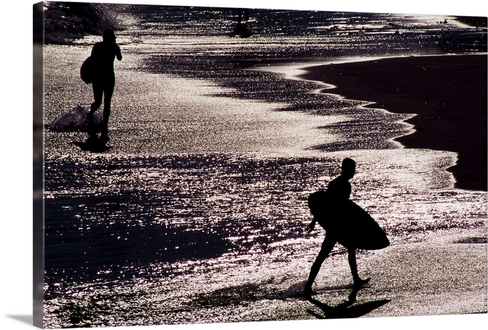 Silhouettes Of Surfers On Beach, California, USA