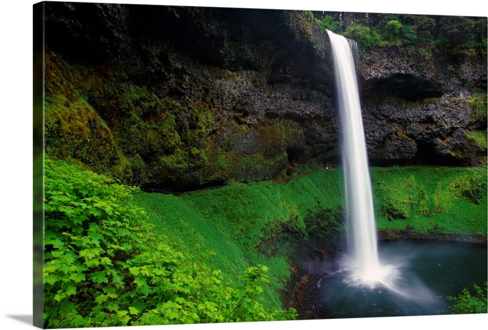 Silver Falls State Park, Oregon, Usa Wall Art, Canvas Prints, Framed