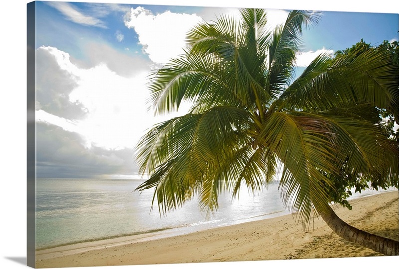 Sipadan Island, Sabah, Malaysian Borneo, Malaysia, Southeast Asia Wall ...