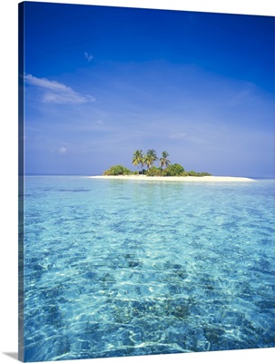Small Island In The Maldives With Palm Trees And White Sand, Maldives
