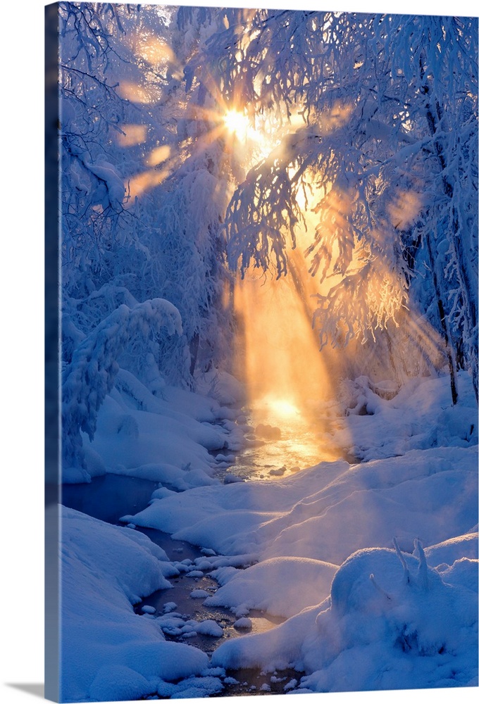 Photo of the rays of sun filtering through the fog next to a small stream flowing through a hoarfrost covered forest, wint...