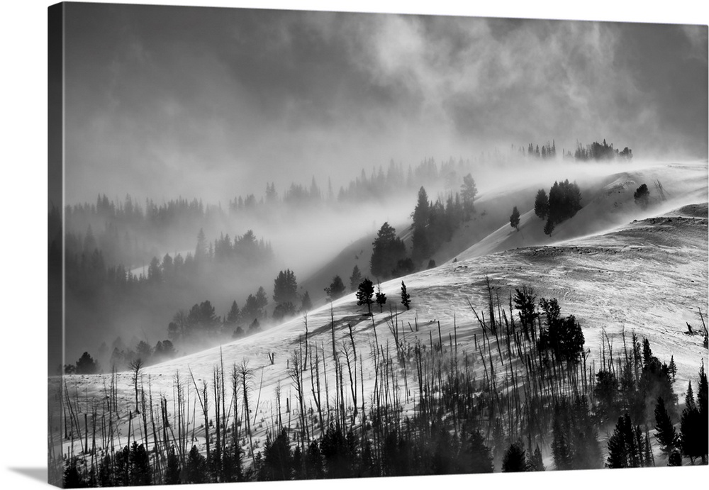 Black and white landscape in Yellowstone National Park with low cloud and snow blowing over Specimen Ridge and Lamar Valle...