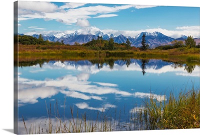 Snow capped mountains of the Alaska Range reflected in a pond, Denali National Park