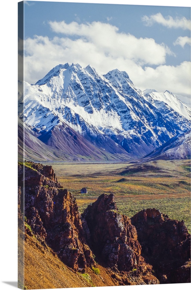 Snow covered Denali with rocky cliffs and colorful foliage on the tundra in Denali National Park Alaska, United States of ...