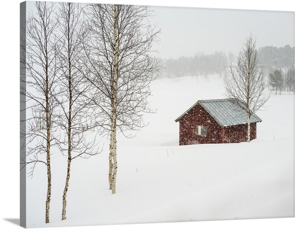 Snow Falling Over A Rural Landscape And A Small Red Building; Arjeplog, Norrbotten County, Sweden