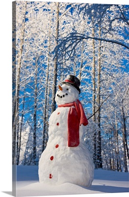 Snowman With Red Scarf And Black Top Hat, Eagle River, Alaska