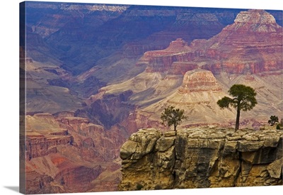 South Rim Of Grand Canyon, Arizona, Elevated View