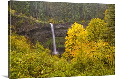 South Silver Falls In The Autumn In Silver Falls State Park, Oregon