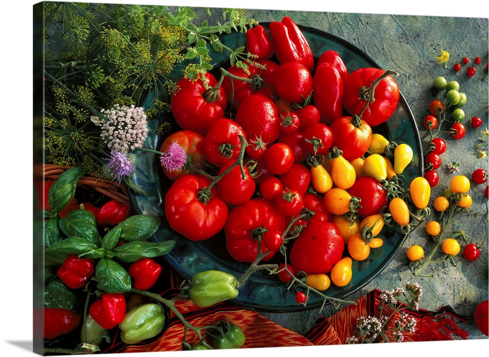 Still-life of tomato varieties and herbs