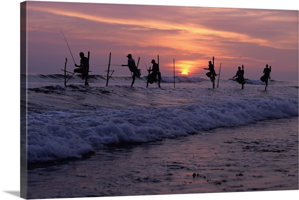 Stilt Fishermen Silhouetted At Sunset; Sri Lanka, Asia