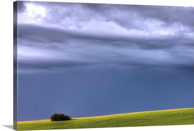 Storm Clouds Over Pasture On Summer Evening, Central Alberta, Canada