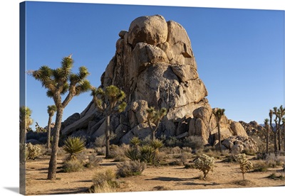 Striking Rock Formations In Joshua Tree National Park, California