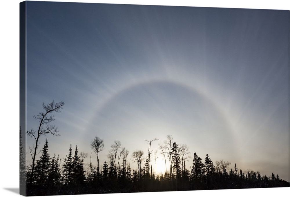 Sun halo in blue sky over silhouetted trees; Sault St. Marie, Michigan, United States of America