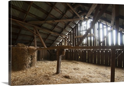 Sunlight filters through the sides of an old barn onto the stored hay
