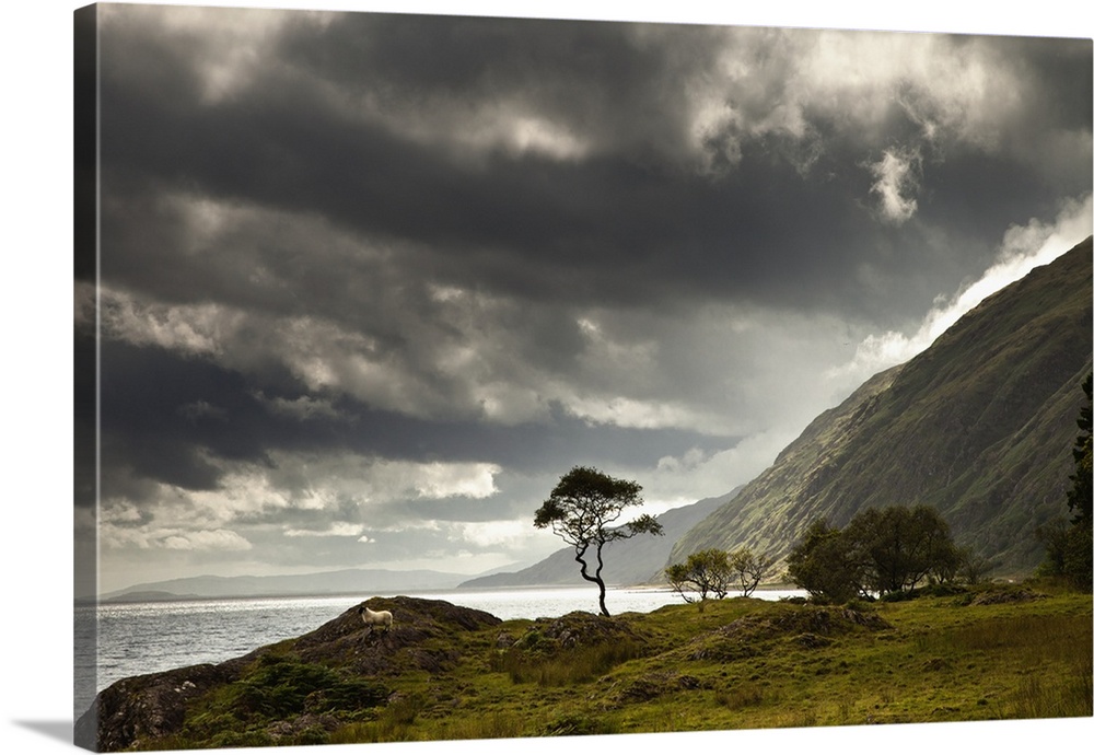 Sunlight Shining Through Clouds Over The Water; Ardnamurchan, Argyl, Scotland