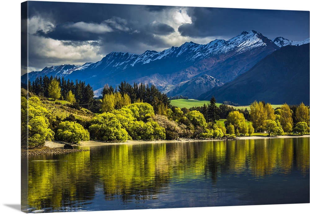 Sunlit trees along the lake shore with moutain range at Glendhu Bay in the Otago Region of New Zealand