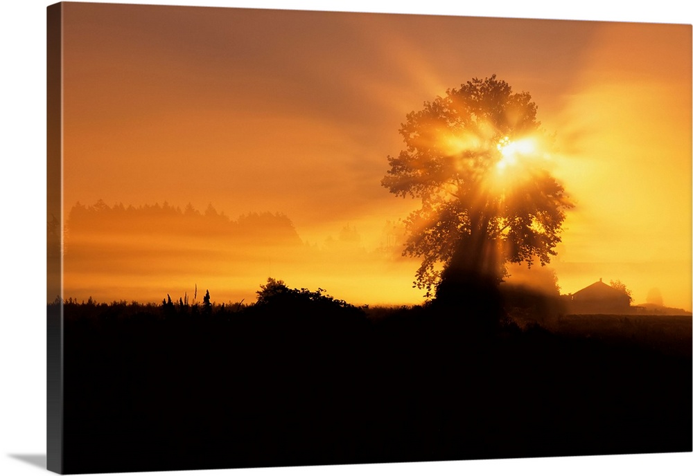 Sunrise on farmland Saanich peninsula, British Columbia, Canada.