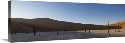 Sunrise on the Deadvlei, part of the Namib desert in Sossusvlei, Namibia