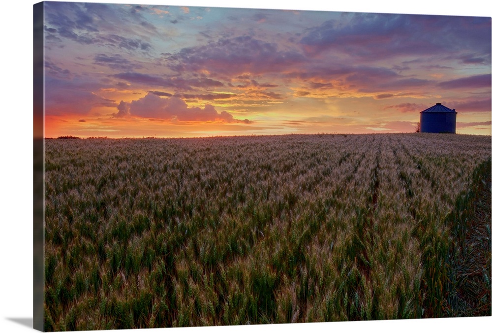 Sunrise Over A Barley Field With Grain Silo In Central Alberta, Canada