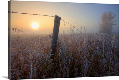 Sunrise Over Hoar Frost-Covered Barbed Wire Fence, Alberta Prairie, Canada