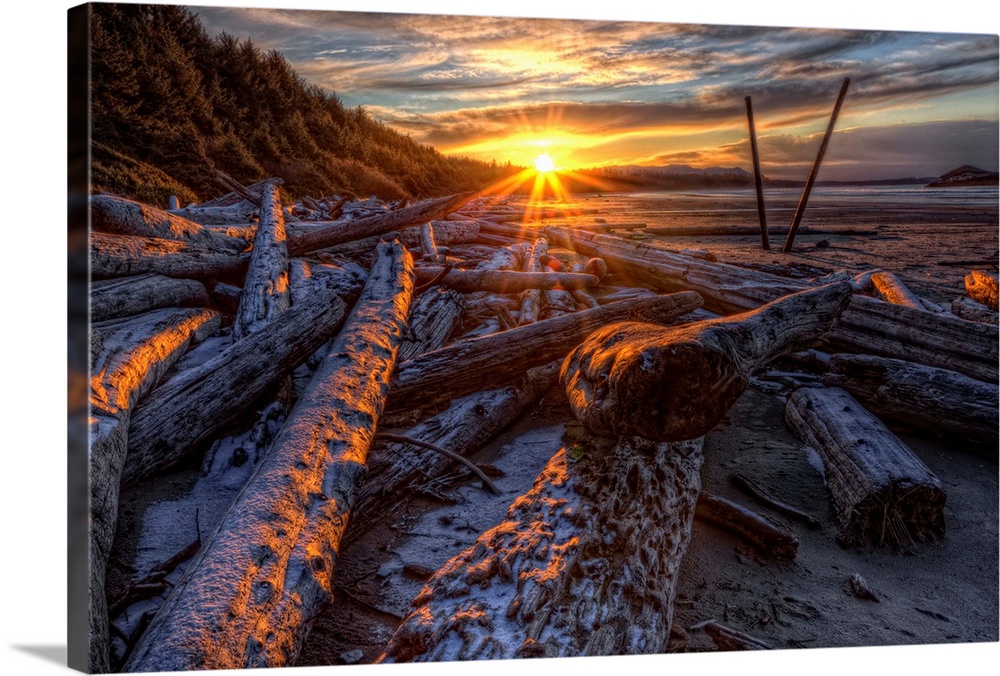 Sunrise Over The Logs At Long Beach, British Columbia, Canada