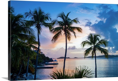 Sunset And Palm Trees On The Caribbean Island Of Saint Thomas, Virgin Islands