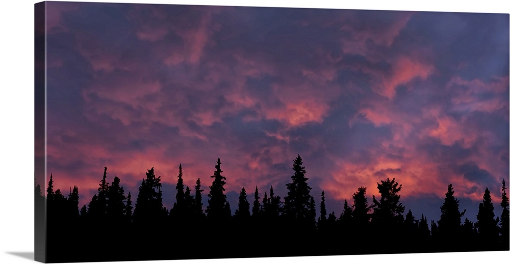 Incredible sunset over the trees in Whitehorse, Yukon