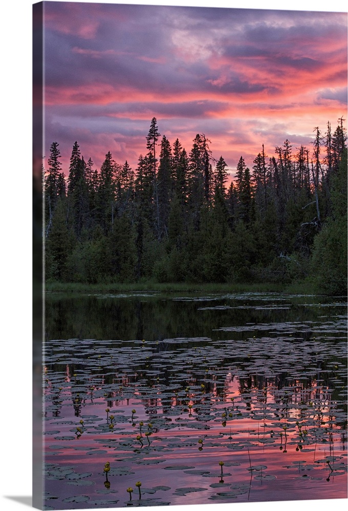 Sunset over a small beaver pond along the Yellowhead Highway near Smithers, Canada