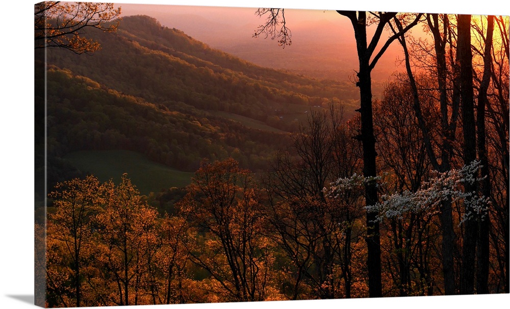 Sunset over a springtime landscape,  Weaverville, North Carolina, United States of America