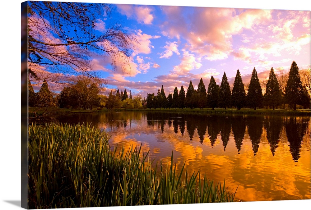 Sunset Reflection On A Pond, Portland, Oregon