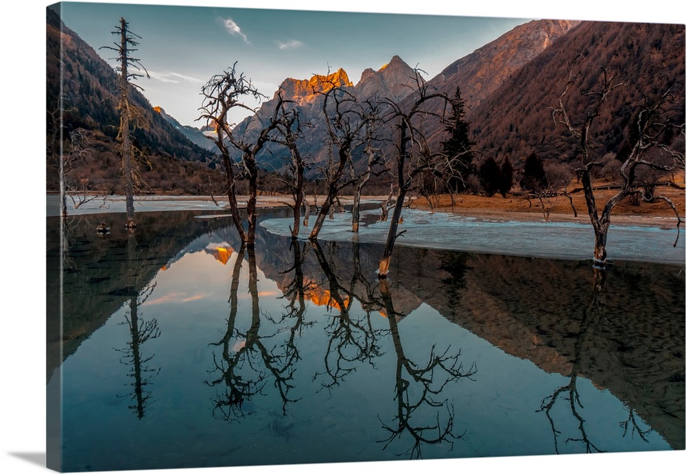 Sunset with trees reflected in a high altitude lake on the Tibetan Plateau, Rilong, Sichuan Province, China