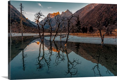 Sunset With Trees Reflected In Lake On The Tibetan Plateau, Sichuan Province, China
