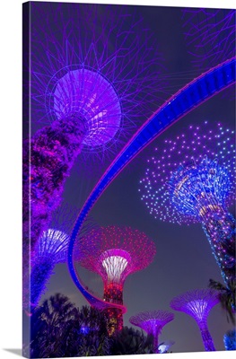 Supertrees Of Gardens By The Bay With Illuminated Sweeping High Level Walkway