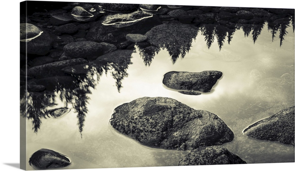 Surface of rocks in clear, shallow water and the reflection of trees from the shoreline, British Columbia, Canada.