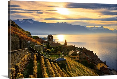 Switzerland, Lavaux Unesco World Heritage region, Vineyards, Saint-Saphorin