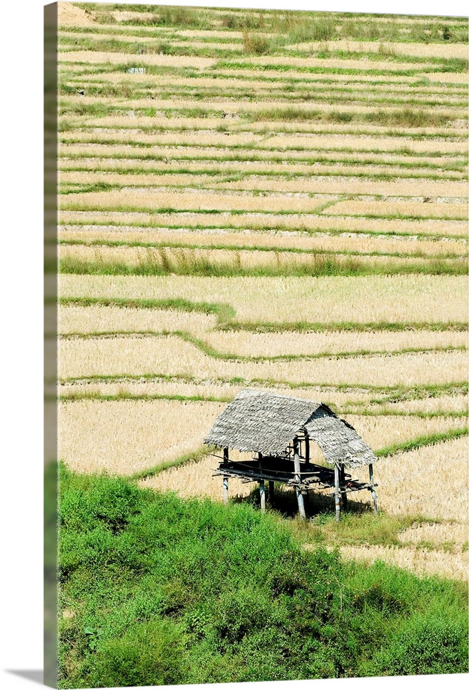 Thailand, Mae Sariang, Thatched Roof Shelters In Terraced Rice Paddies