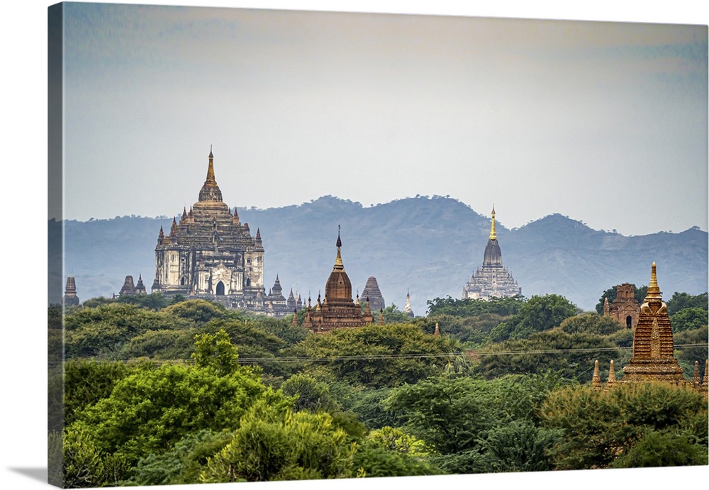 Thatbyinnyu Temple and pagodas in the morning light, displaying their ornate towers over the treetops on the Bagan Plain, ...
