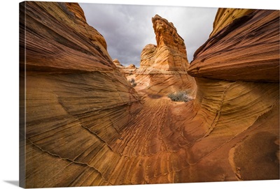 The Amazing Sandstone And Rock Formations Of South Coyote Butte, Arizona