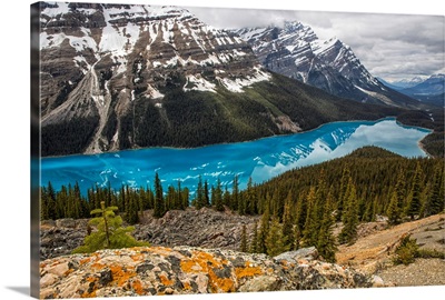 The aquamarine waters of Peyto Lake, Banff National Park, Alberta, Canada