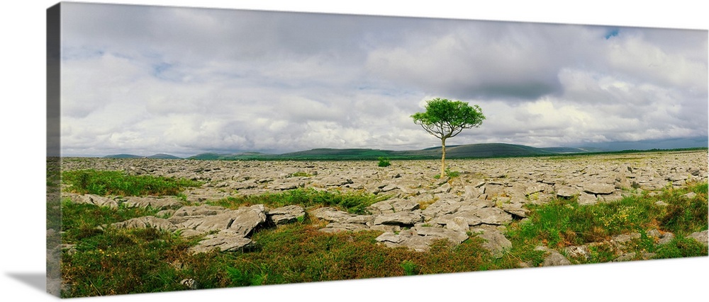 The Burren, Co Clare, Ireland; Karst-Landscape Region Near Kinvara
